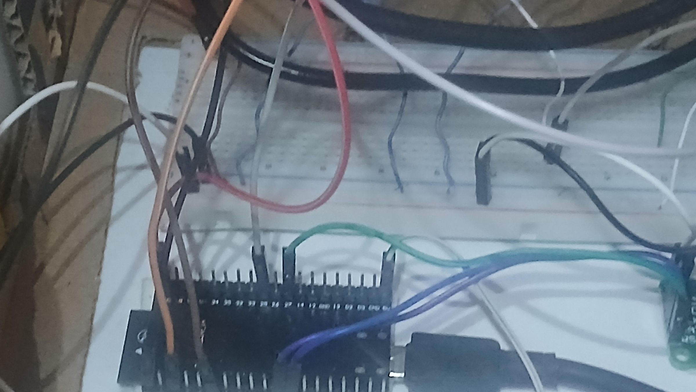 20260319_183105.jpg
