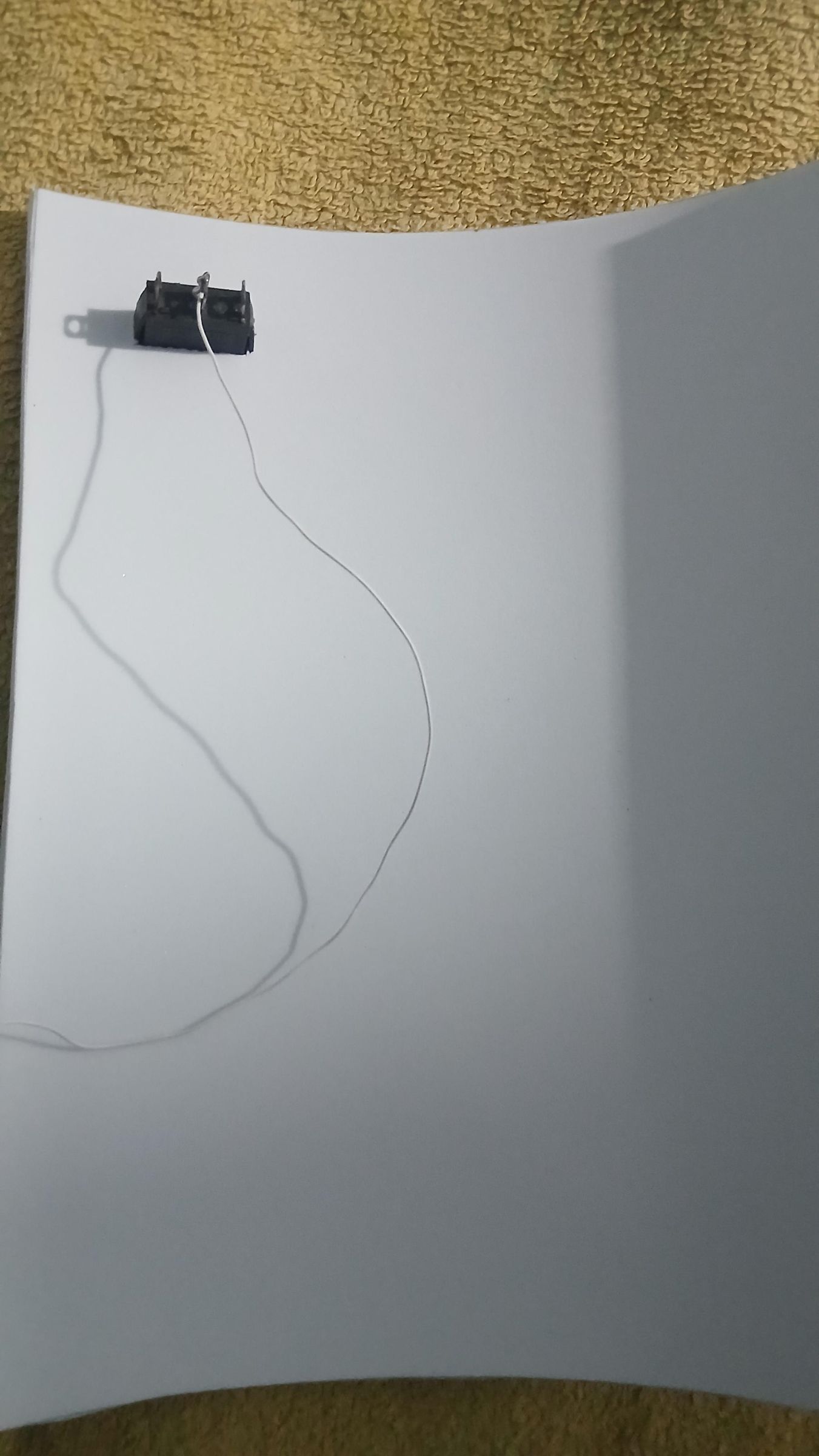 20260321_205648.jpg
