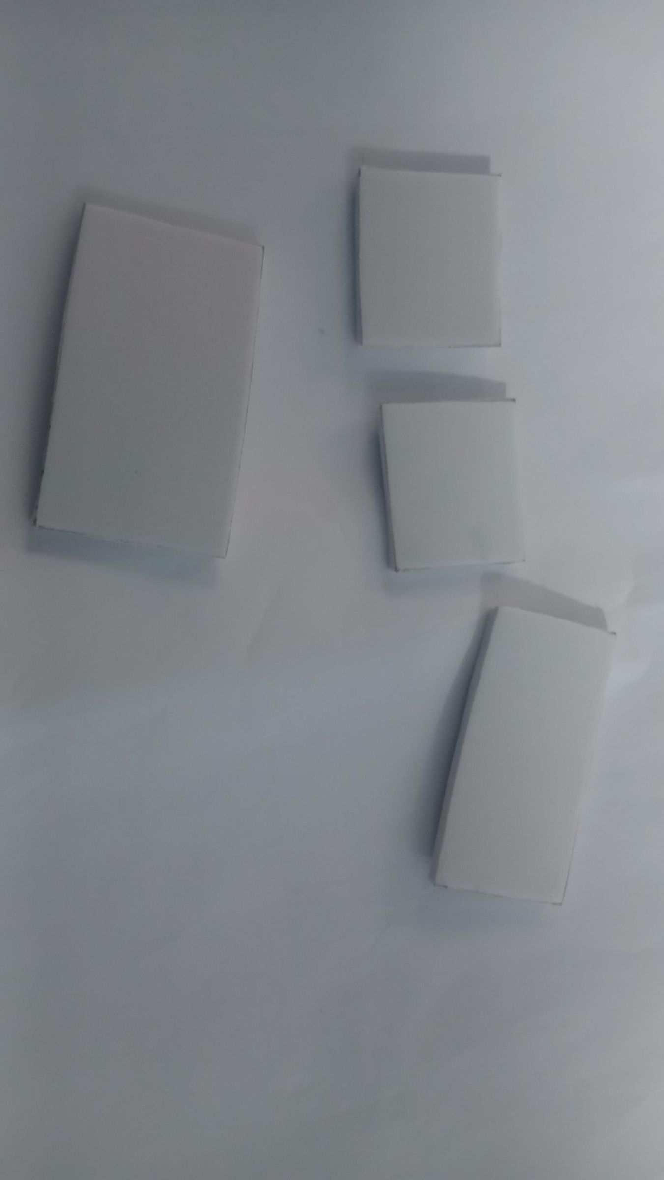20260324_065042.jpg