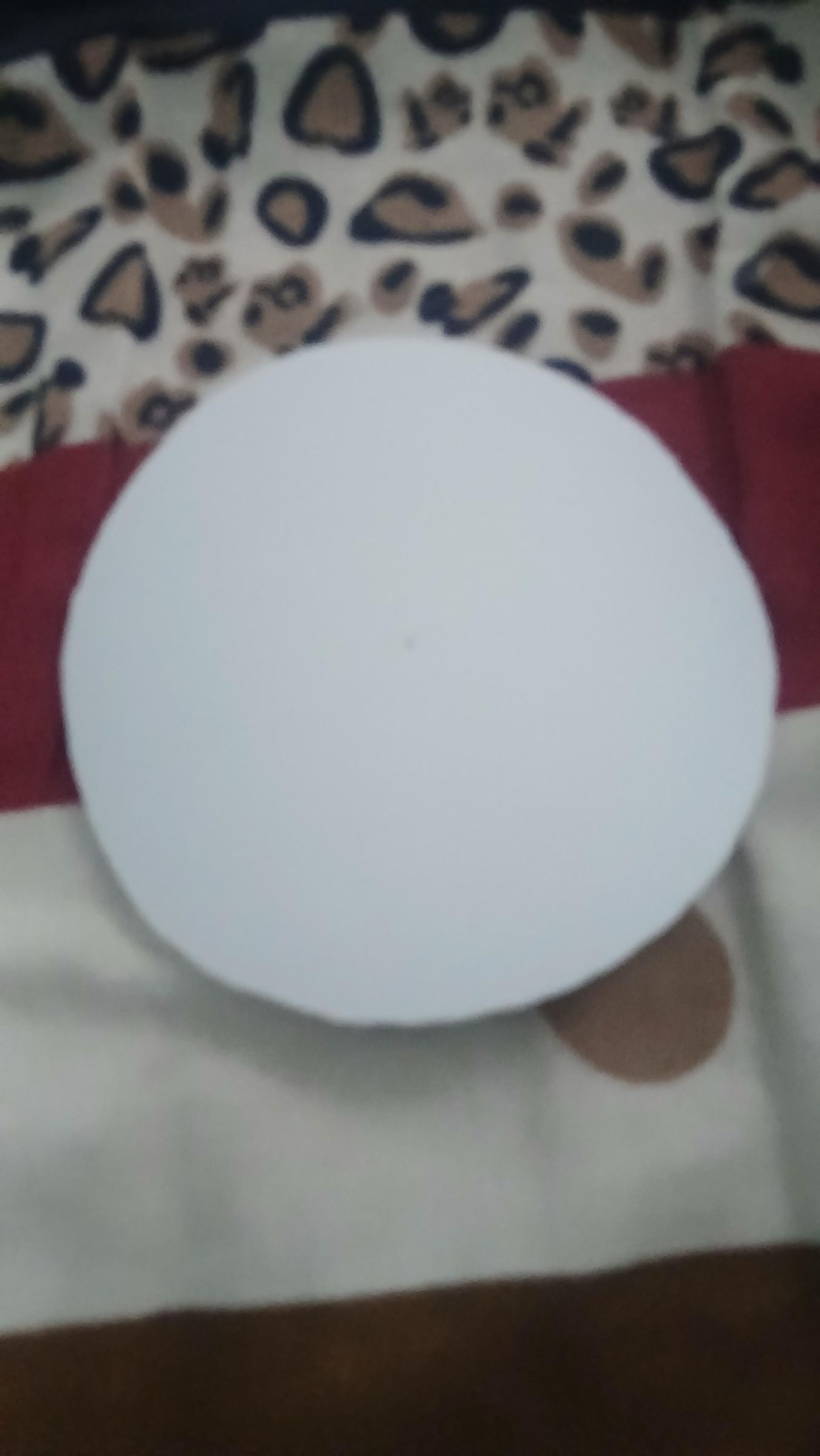 20260325_224937.jpg