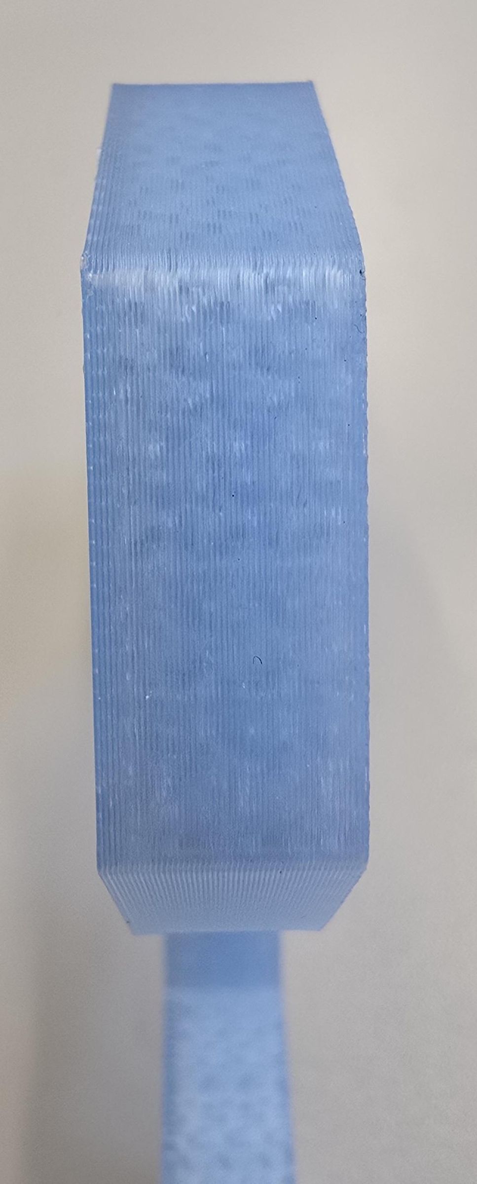 20260401_092323.jpg