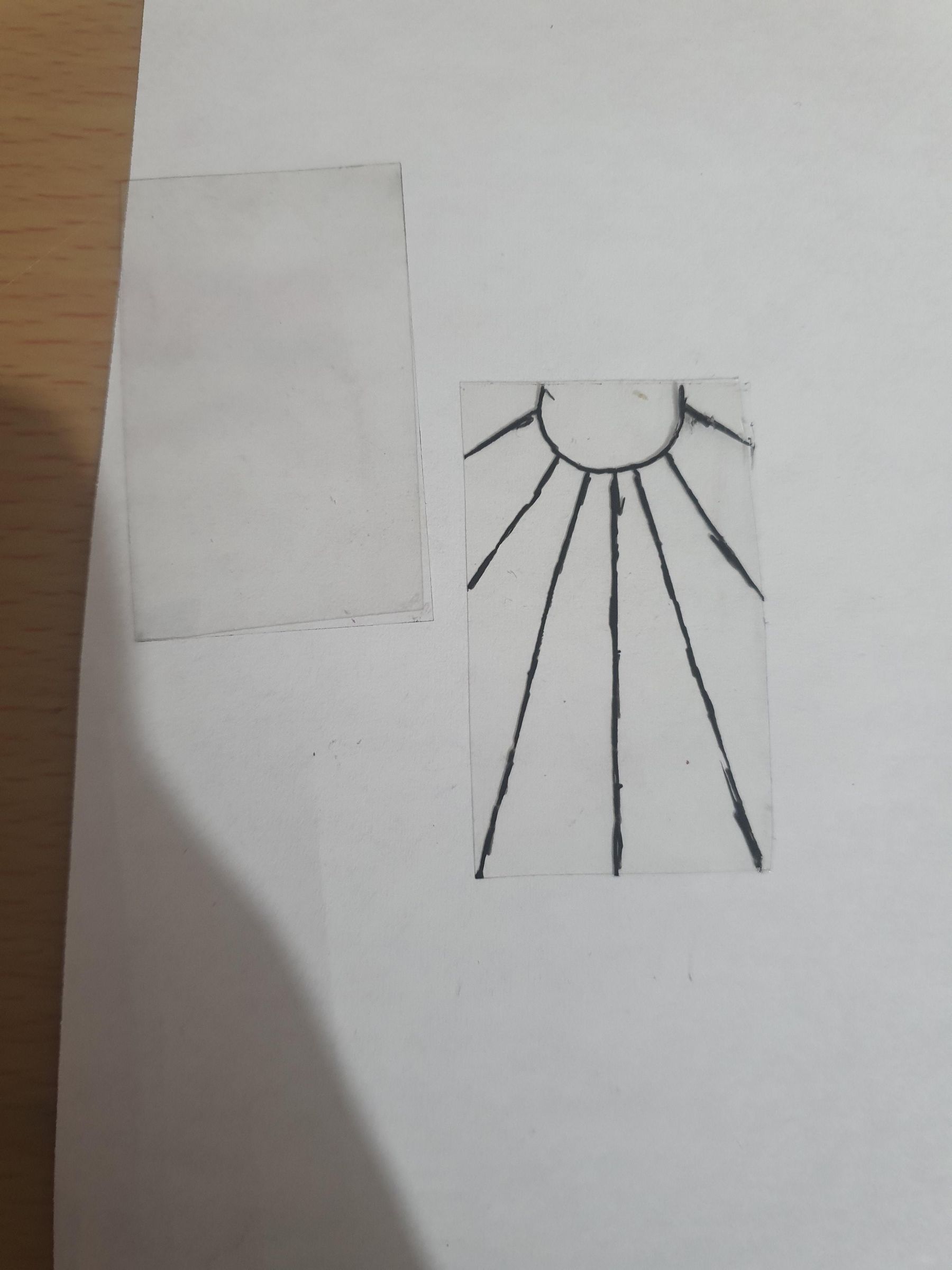 20260411_215525.jpg