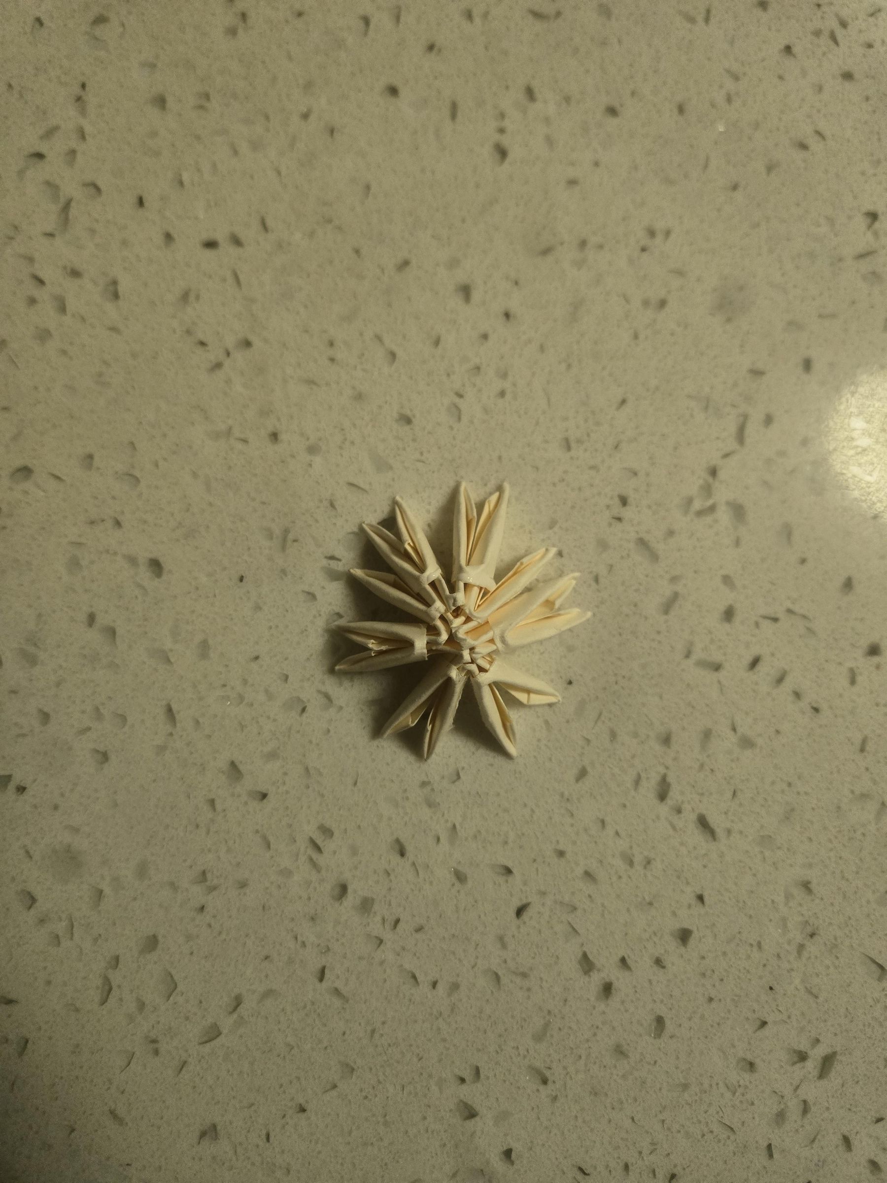 20260606_221359.jpg