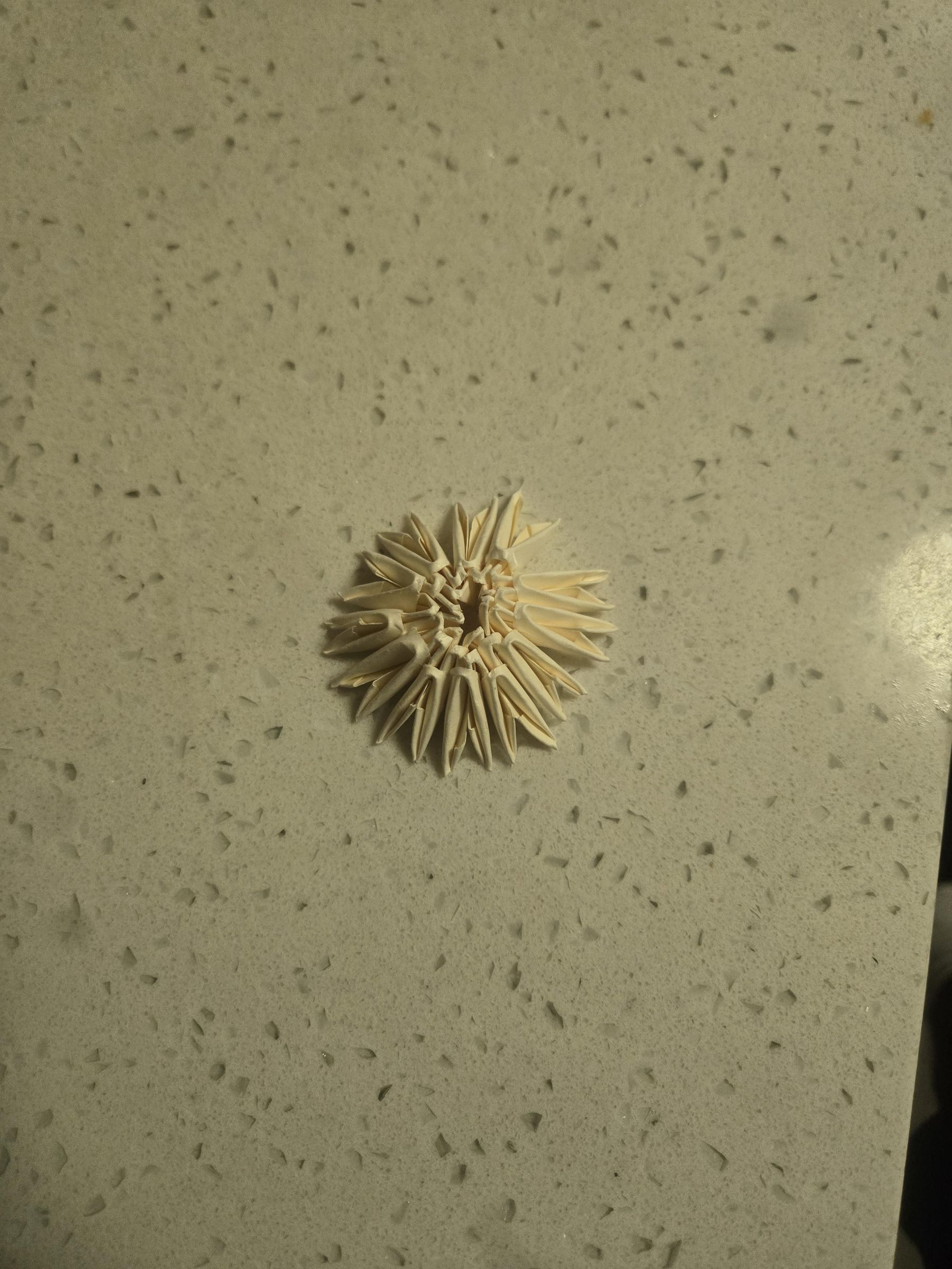20260606_221830.jpg