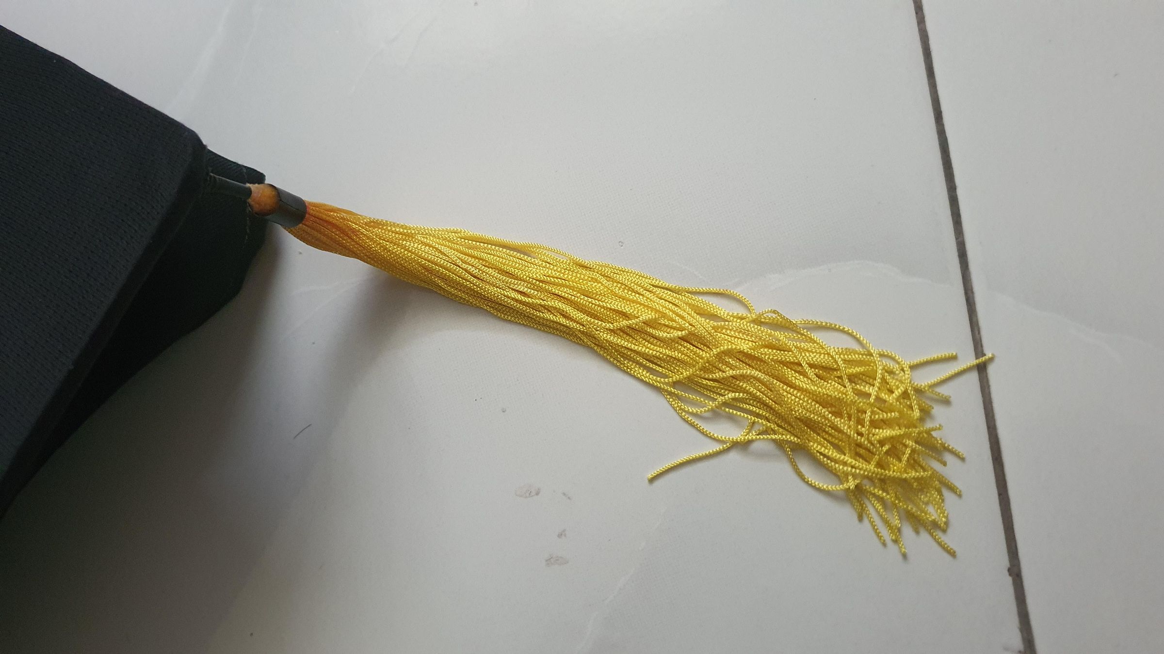 20260706_115402.jpg
