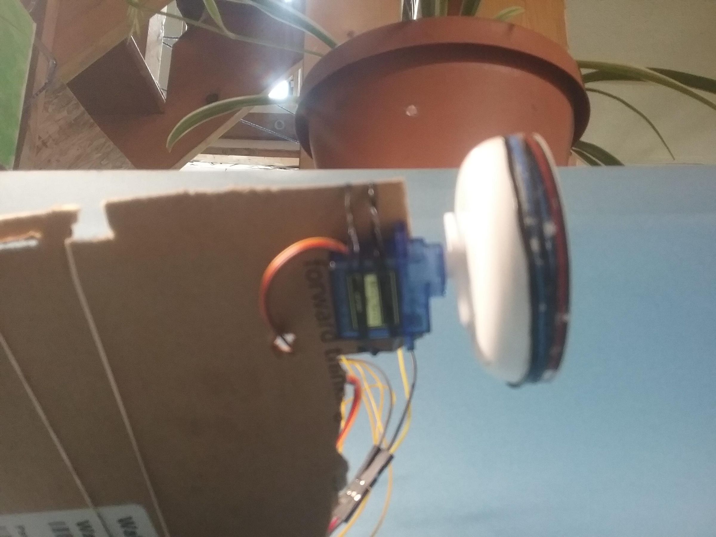20260709_103651.jpg