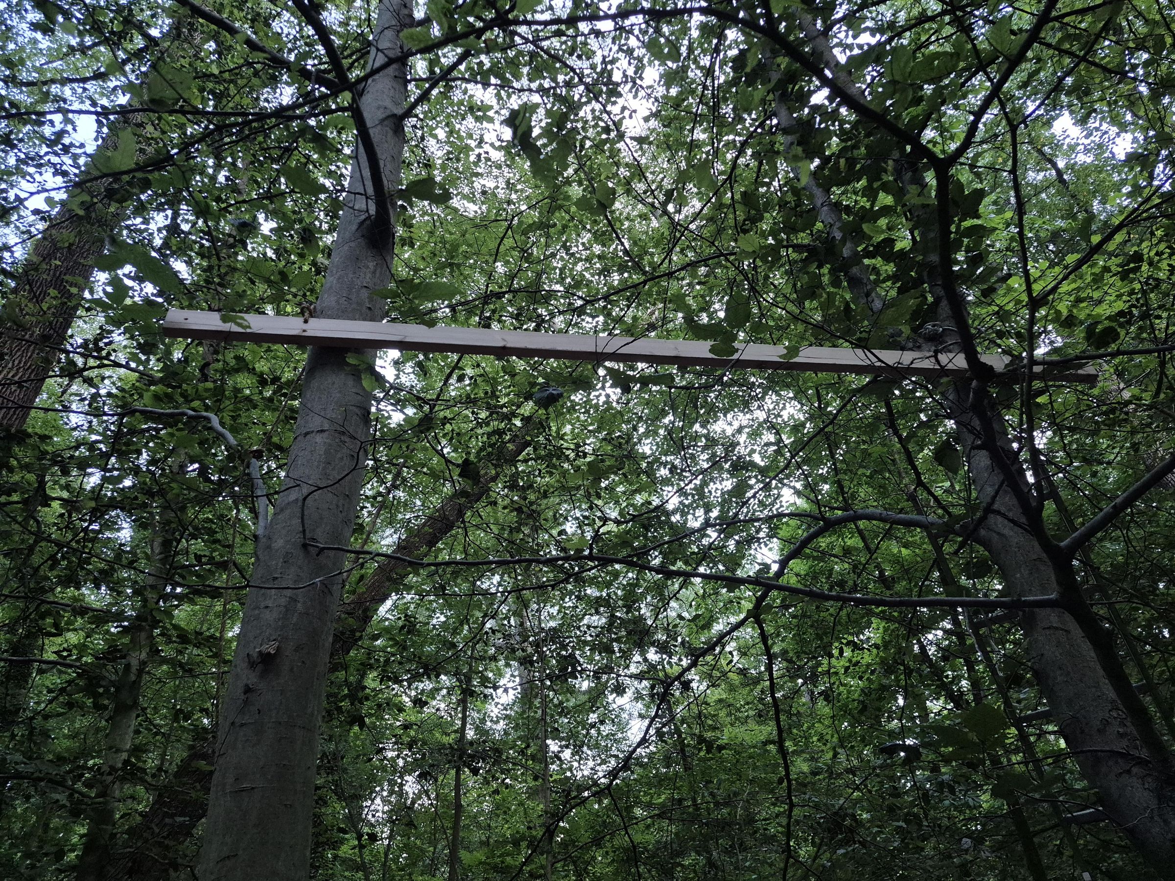 20260724_201649.jpg