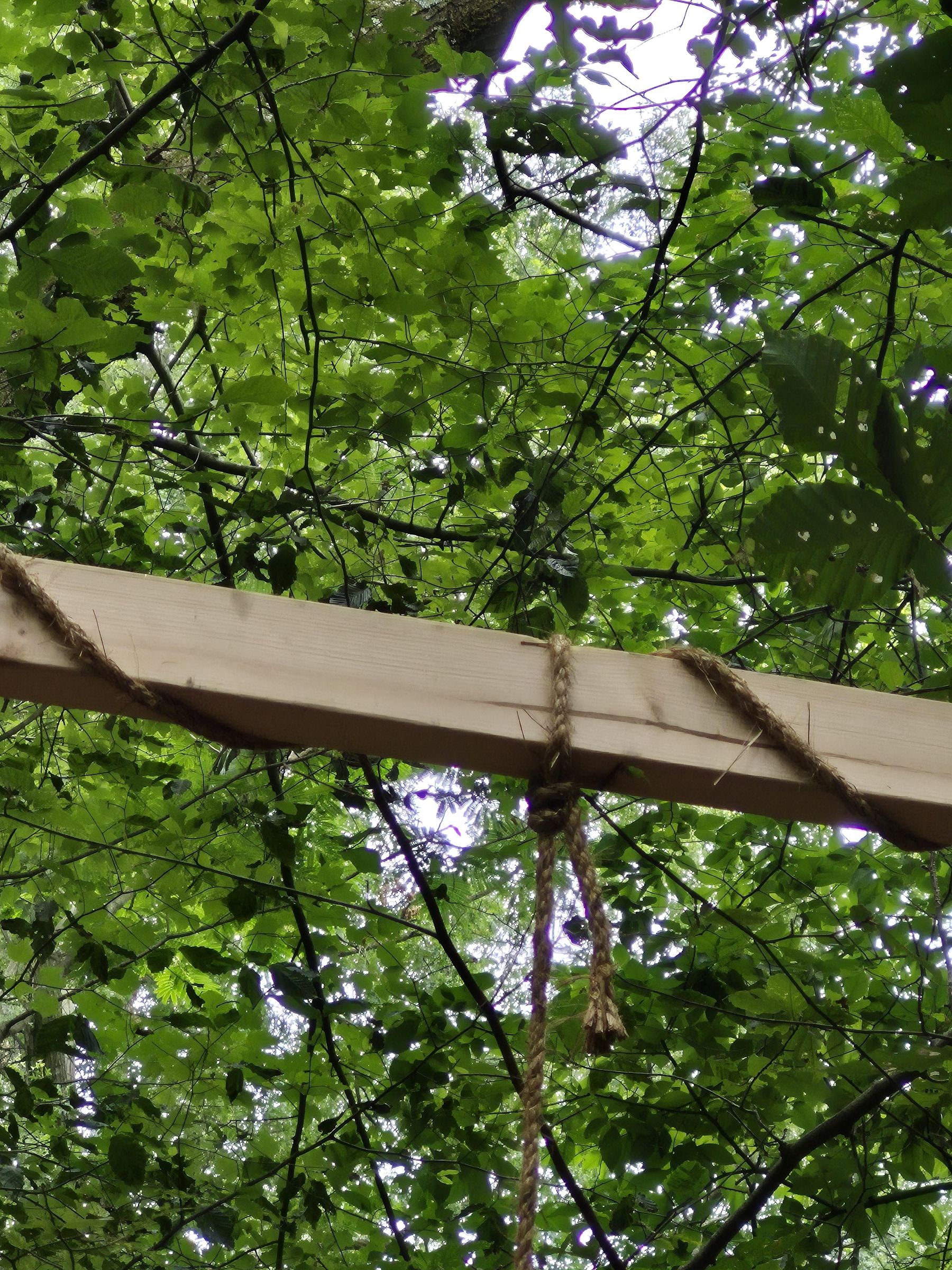20260729_160303.jpg
