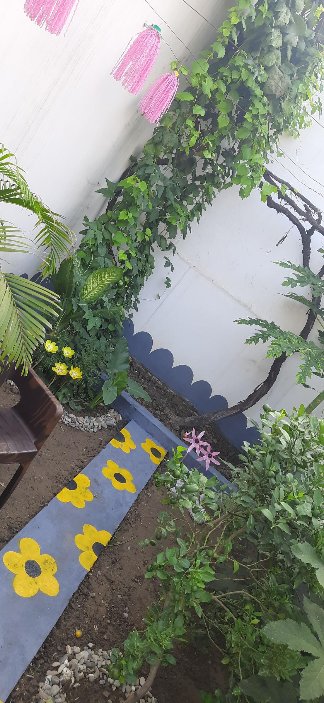 20260803_172233.jpg