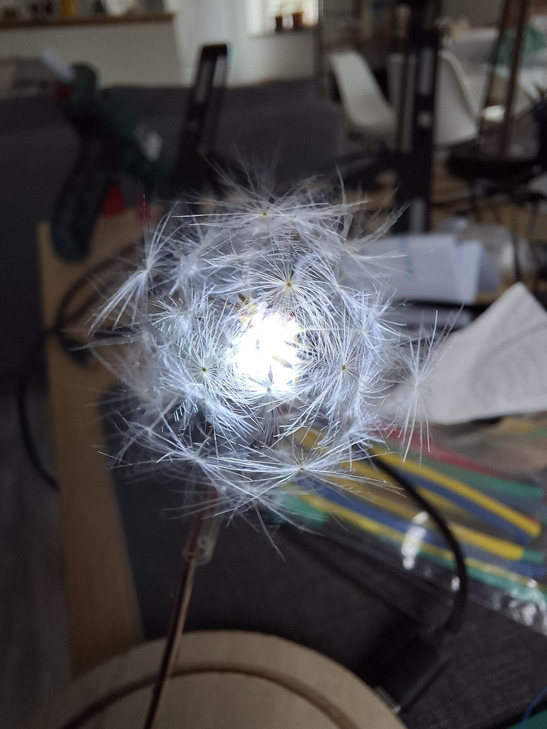 20260809_162725.jpg