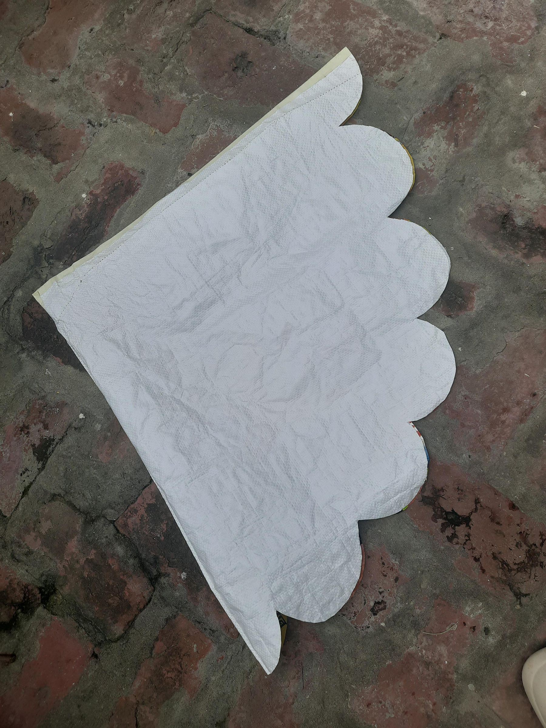 20260817_122834.jpg