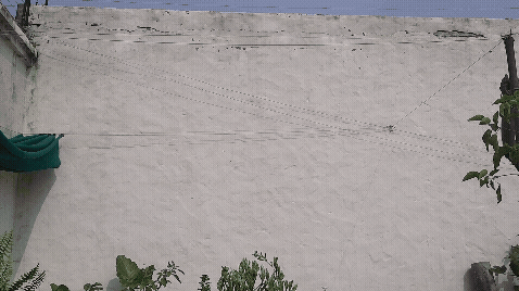 20260818_092657.gif