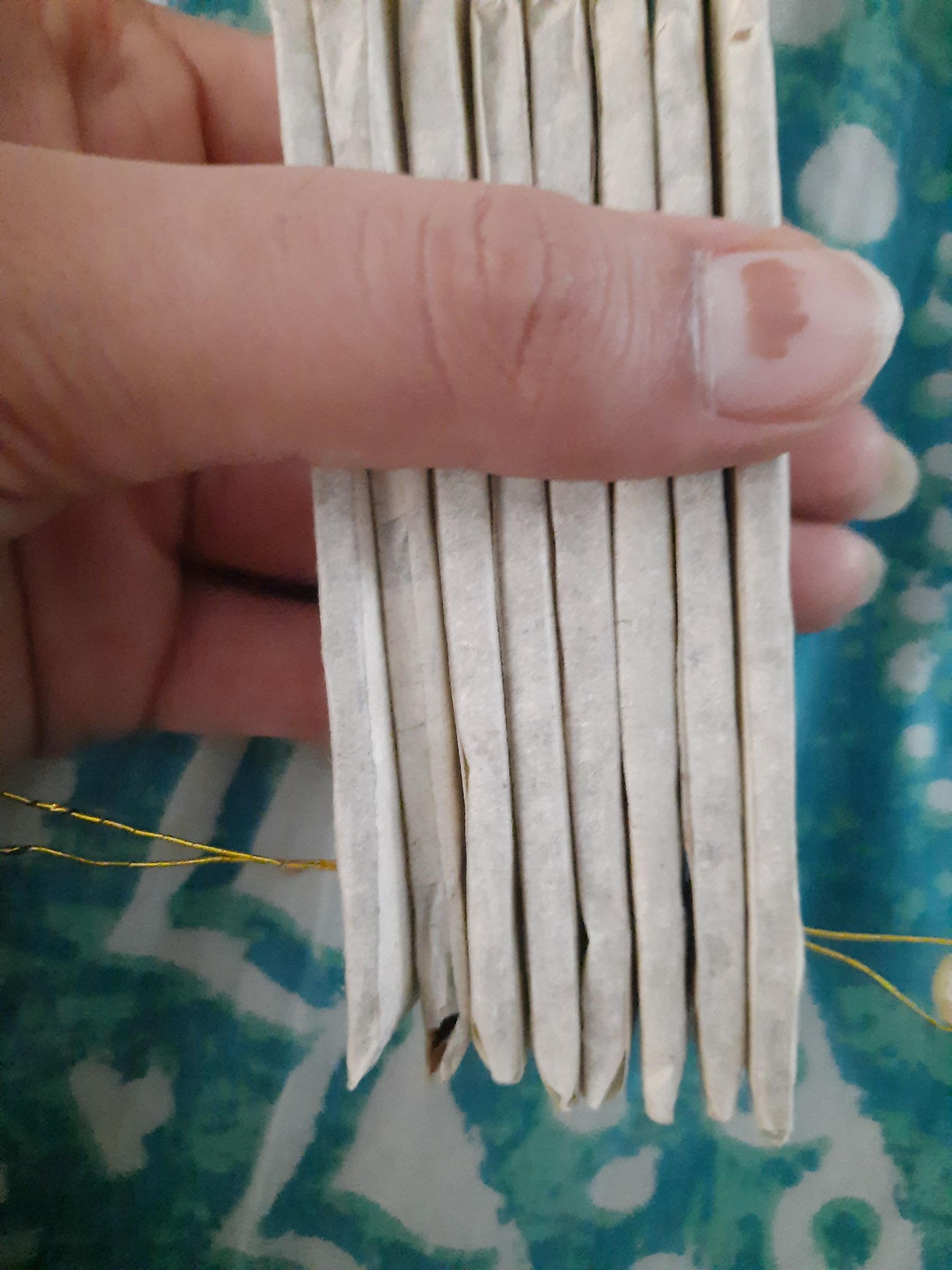 20260828_180140.jpg