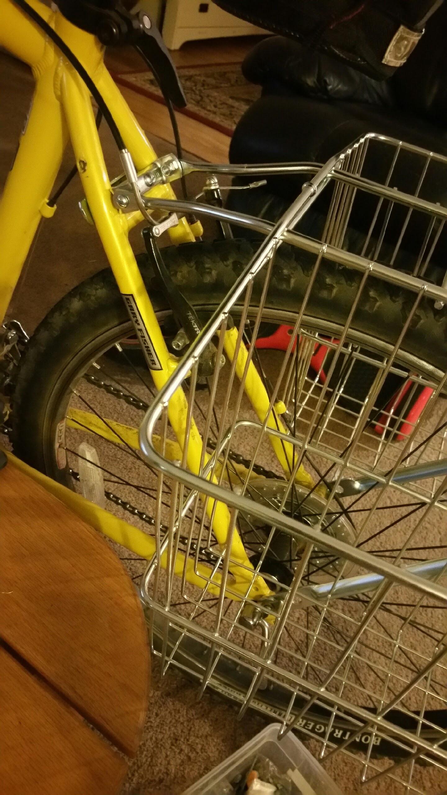 230.jpg