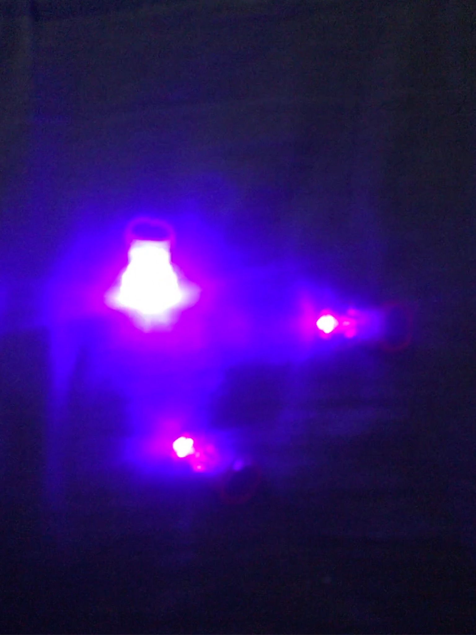 2364AC13-FBE9-4D55-9D1E-03AA547A8C58.jpeg