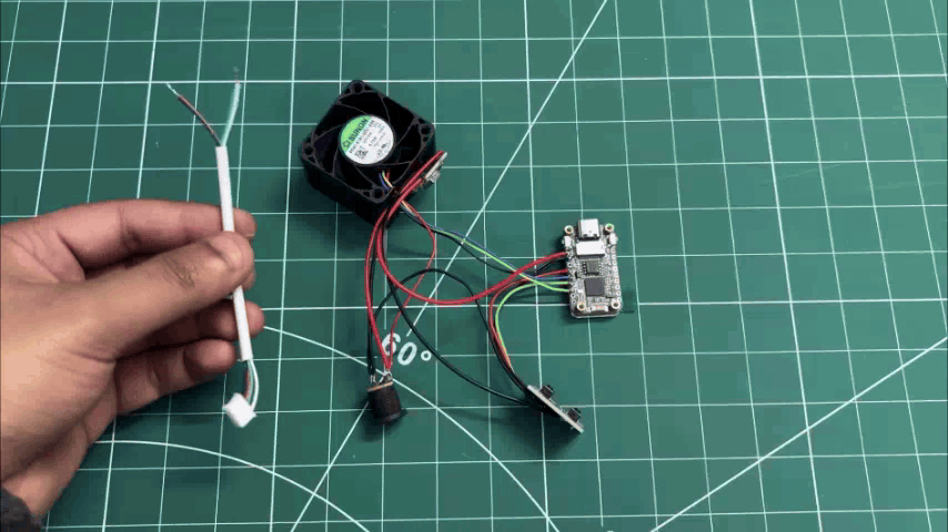 24.gif