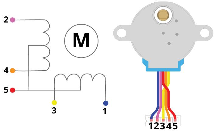 28BYJ-48-stepper-motor-coils.jpg