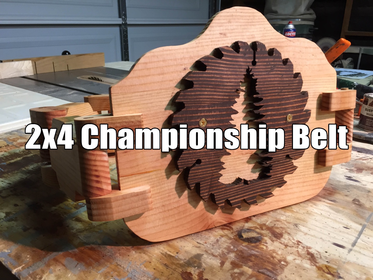 2x4 belt thumbnail.jpg