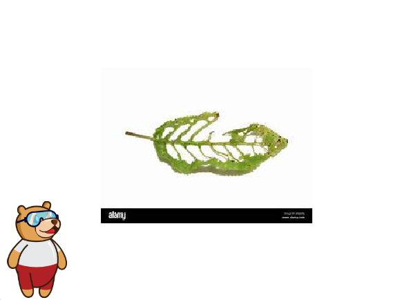 3 (1).png