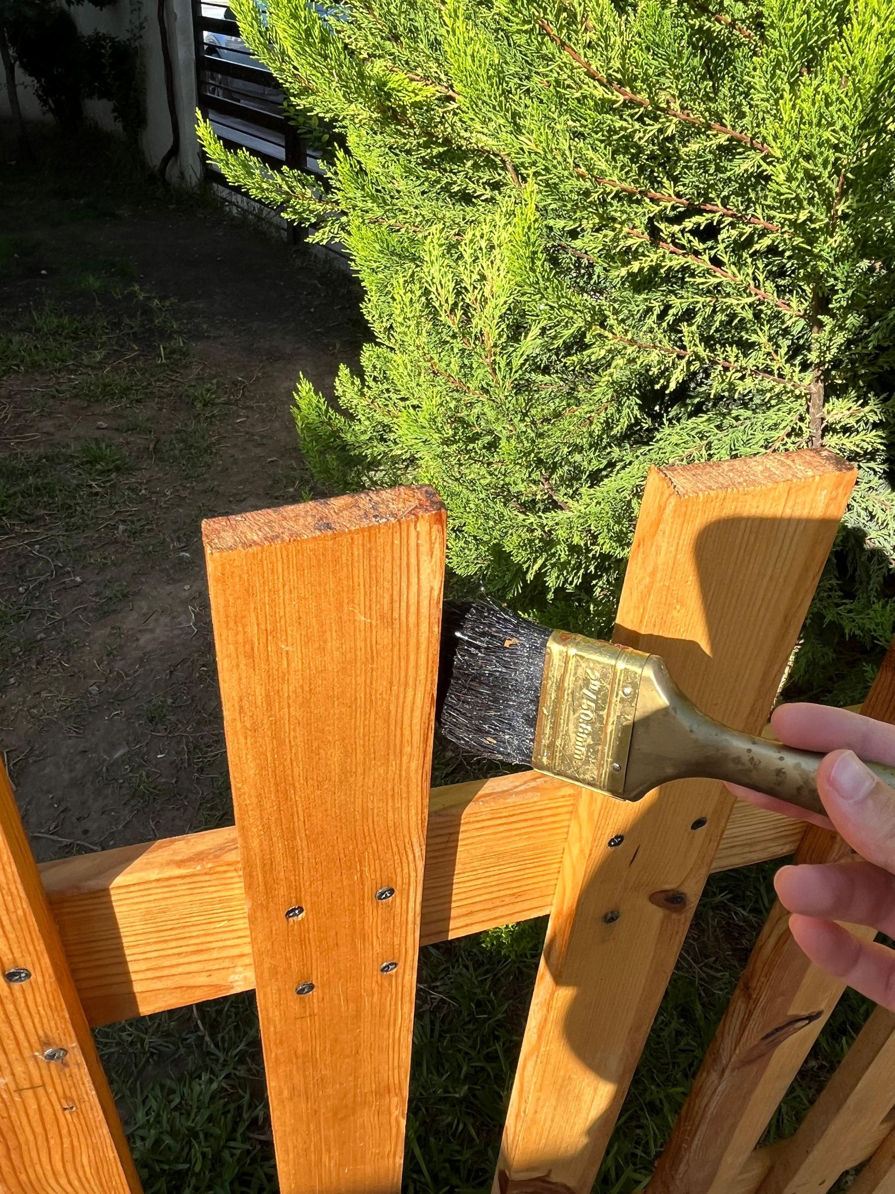 38. pintar.jpeg