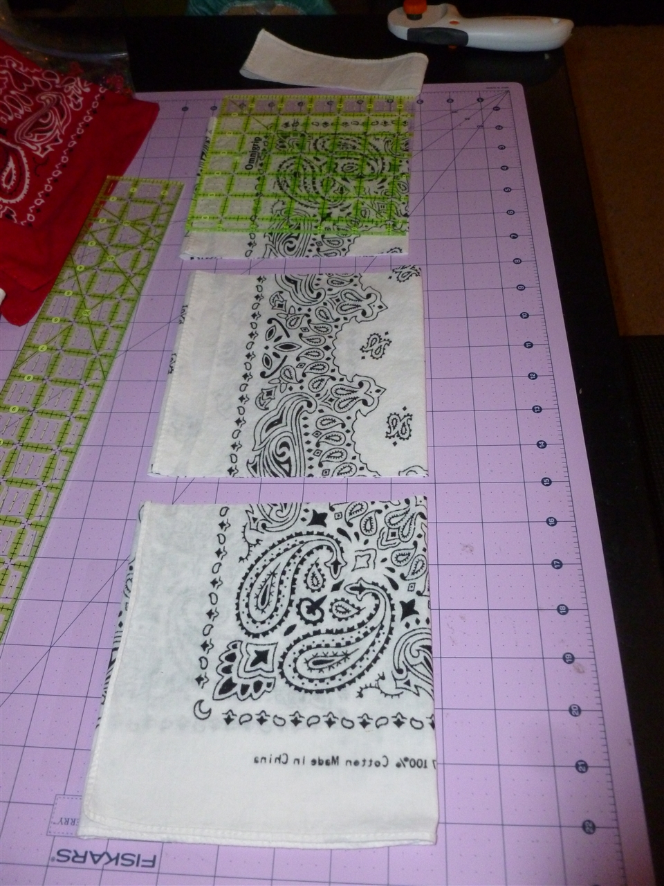 3Cut Bandanas_0005.jpg