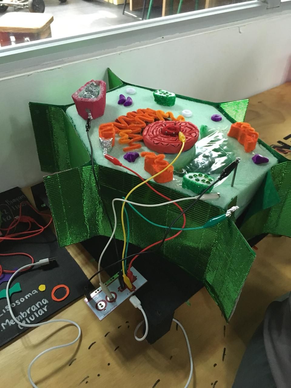3f56c499-49fe-4f9e-b659-8486e66981f1.jpg