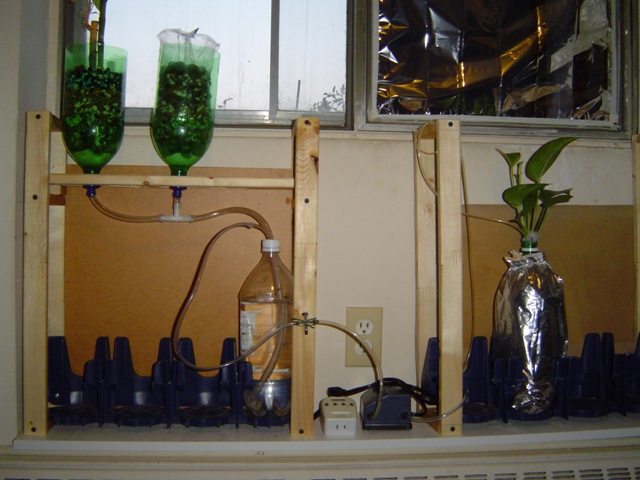 4 Pneumatic Hydroponics Sys - so far.jpg