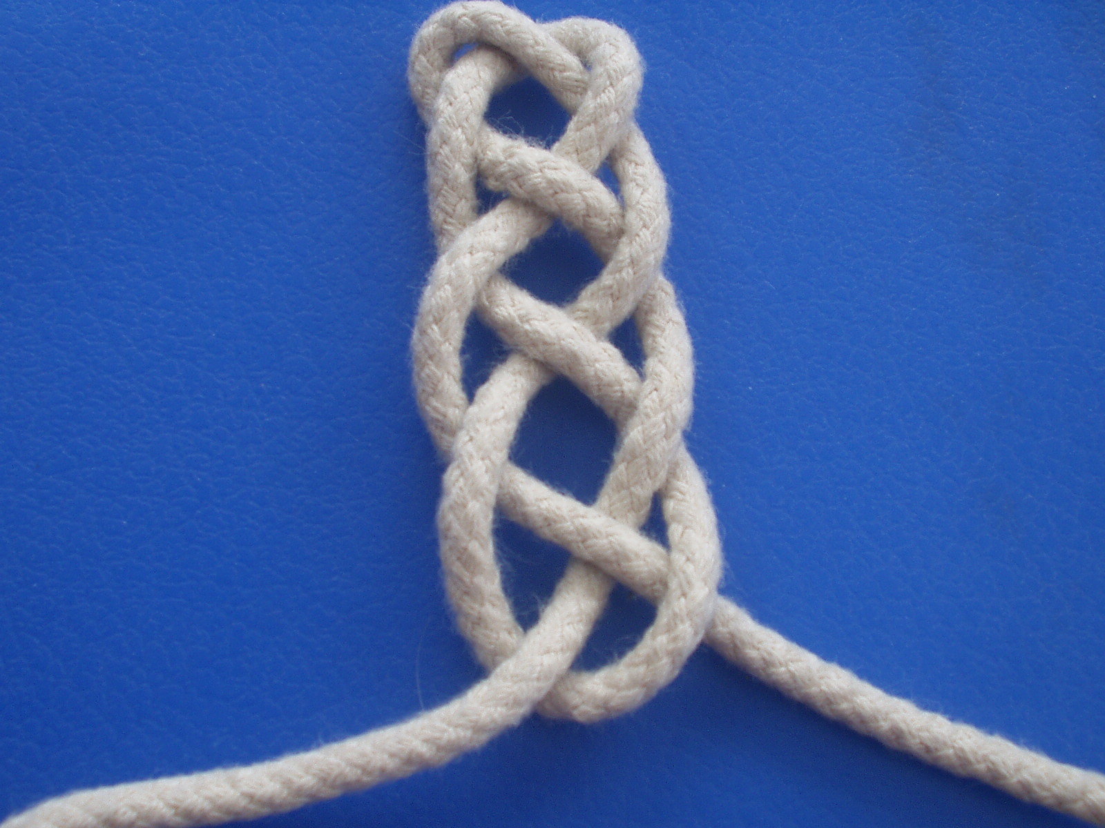 4 braid 009.JPG