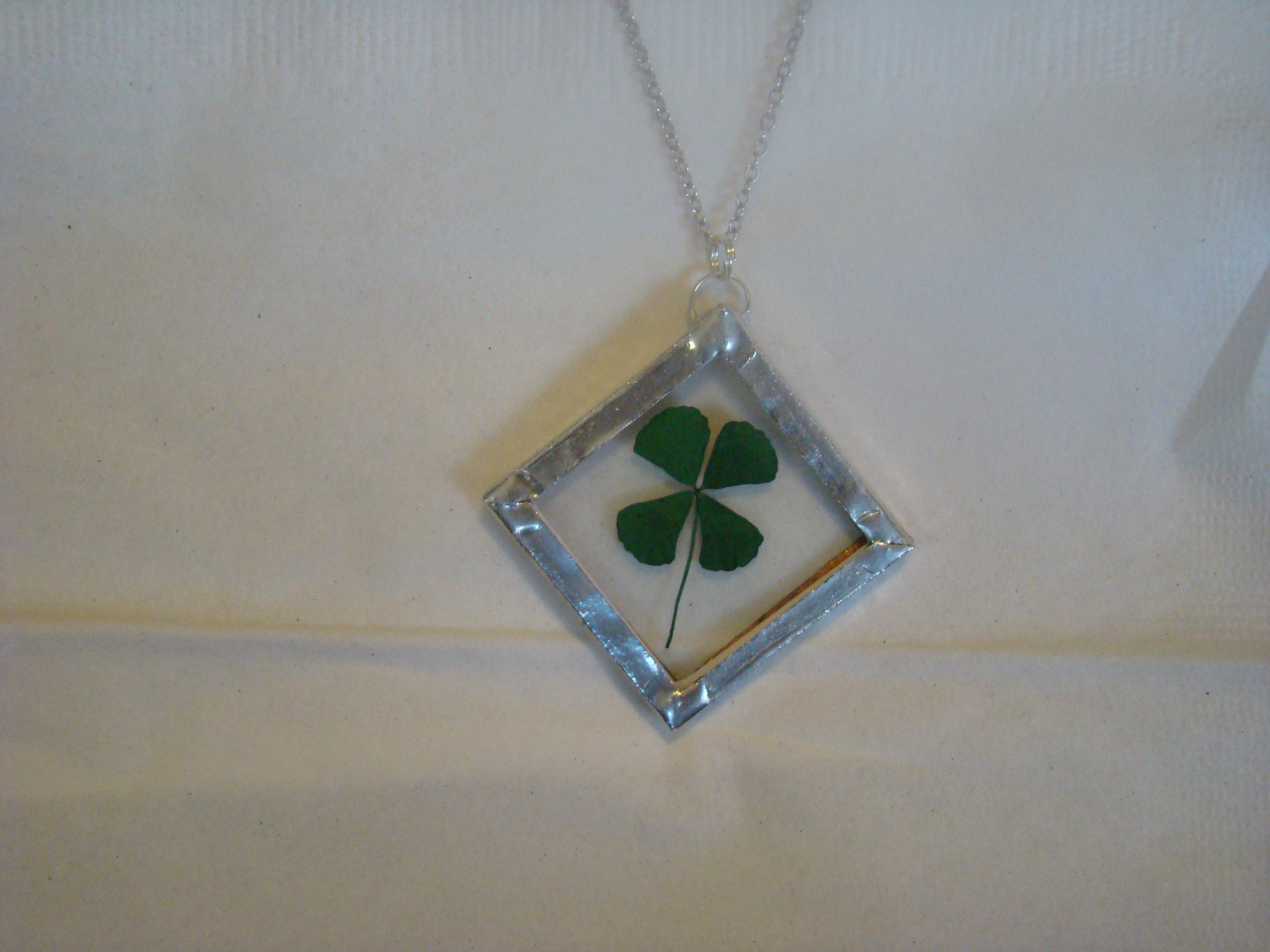 4 leaf clover 26.JPG