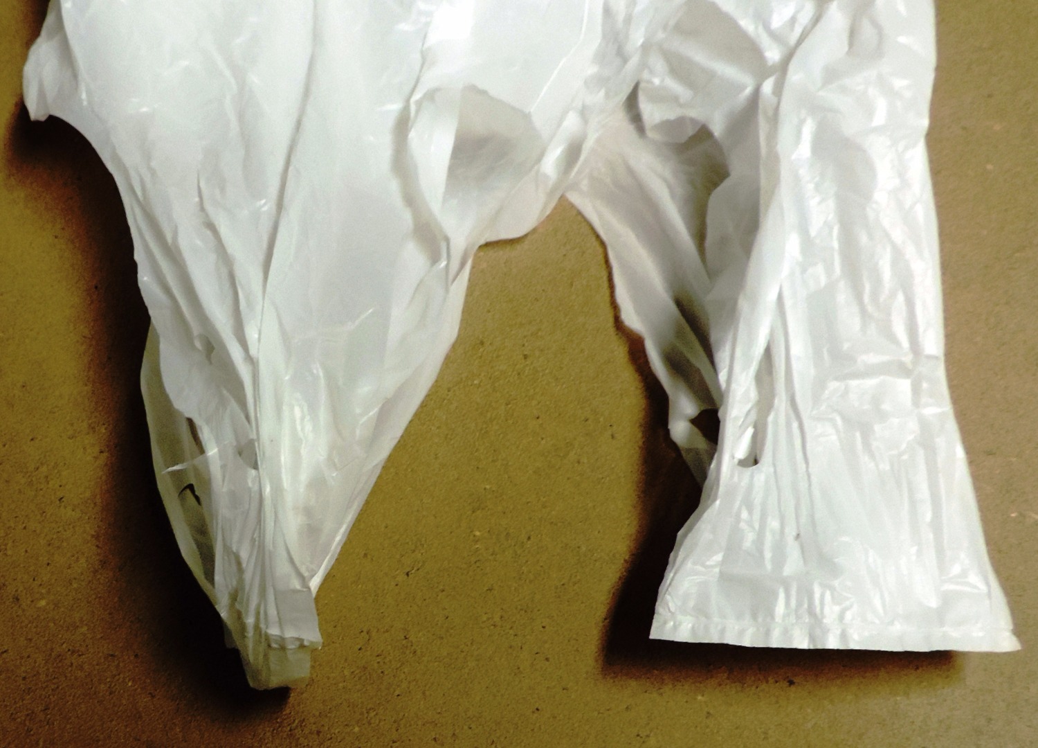 4 shop bag straighten top of handles.JPG