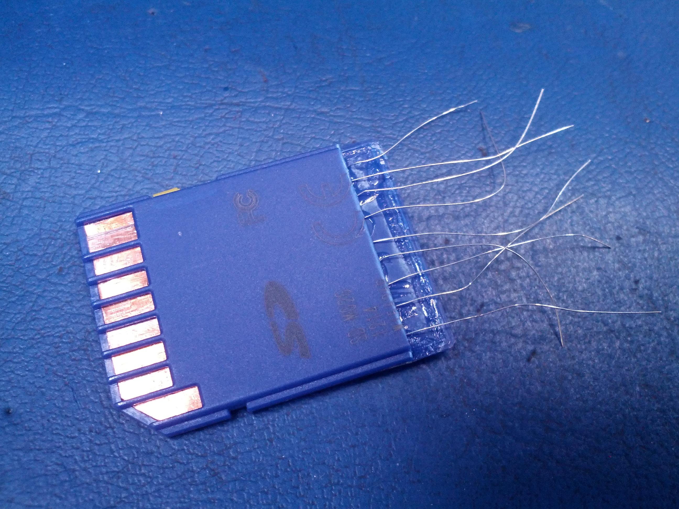40.jpg