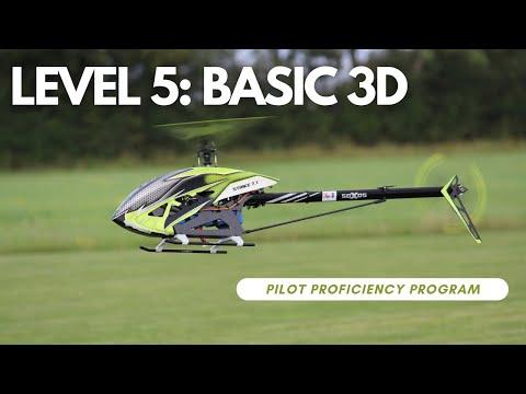 5. Basic 3D: RC Helicopter Pilot Proficiency Program