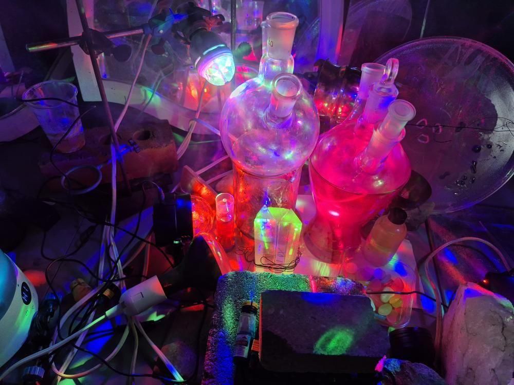 541212936_1814105093324078_4492055333830105185_n.jpg