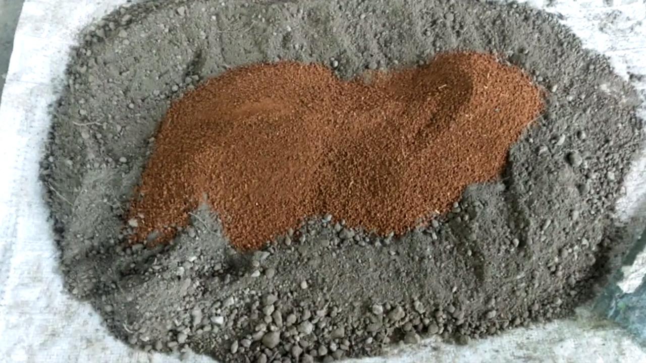 5_soil_3.jpg