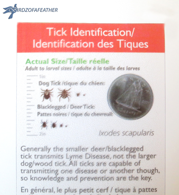 5_tick-kit-items-011_bof.jpg