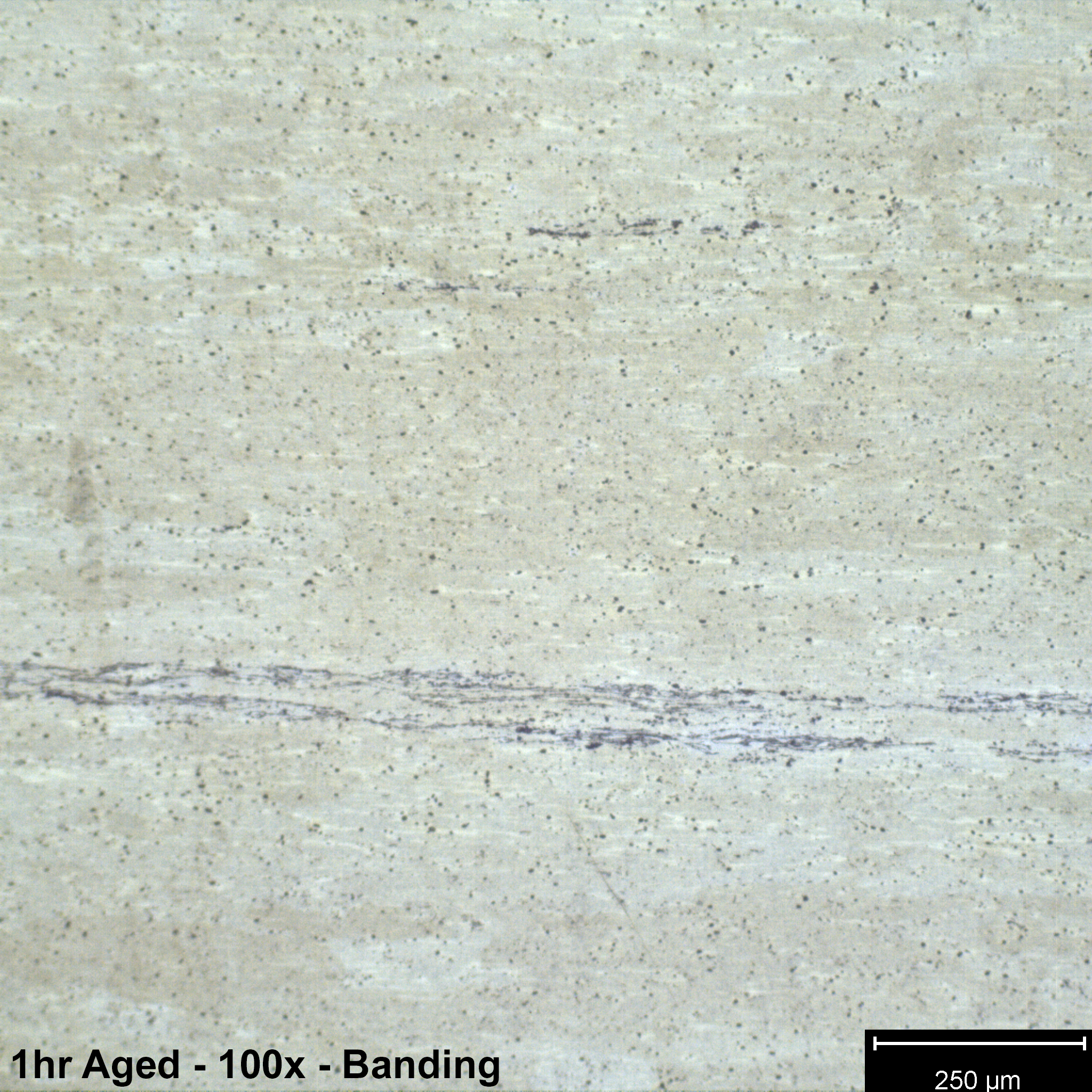 6010-A1hr-100x-etched-1-banding.png