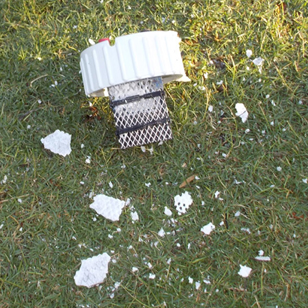 65.jpg