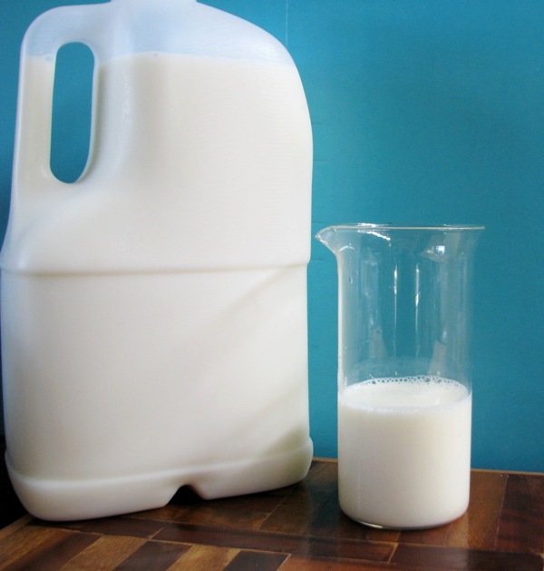6a How much milk.JPG