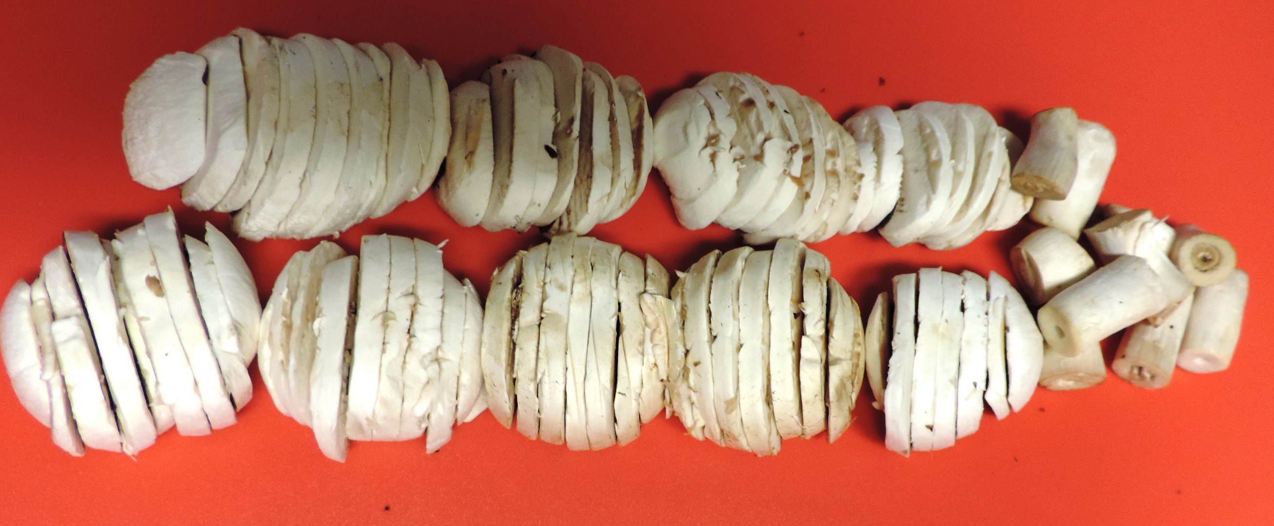 6a mushrooms sliced in a row.jpg