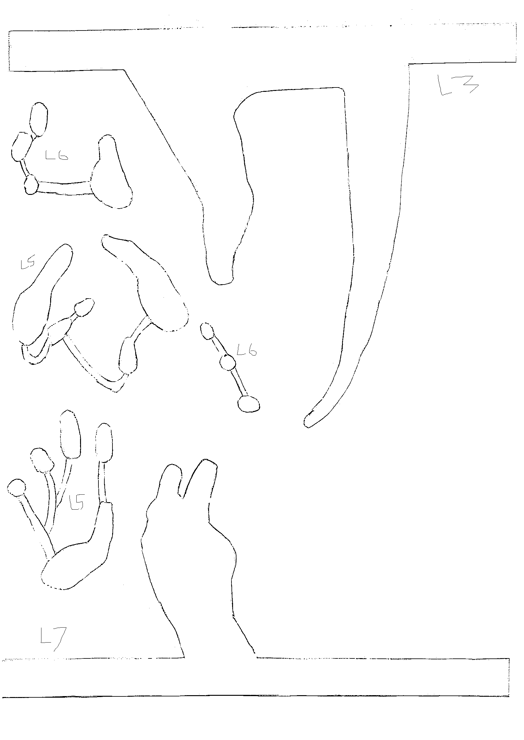 70c28f26-e6f0-4835-b80d-91df4c25d7aa.png