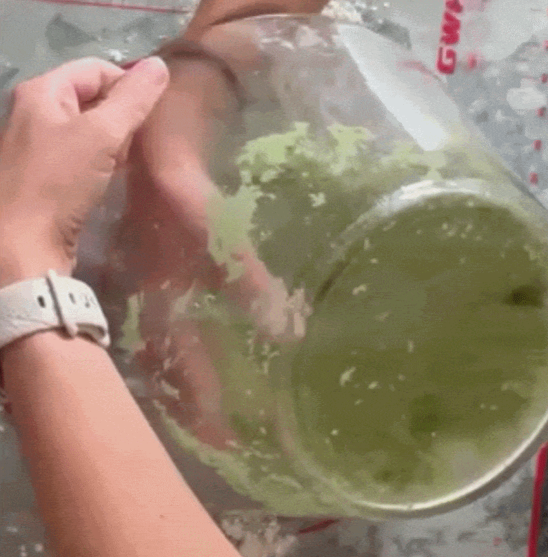 8.gif