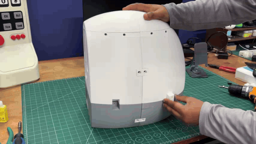 81.gif