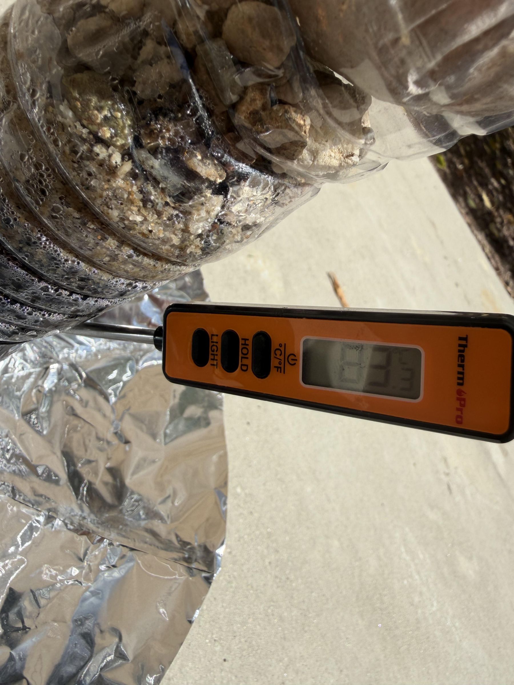 83 Celsius.jpeg