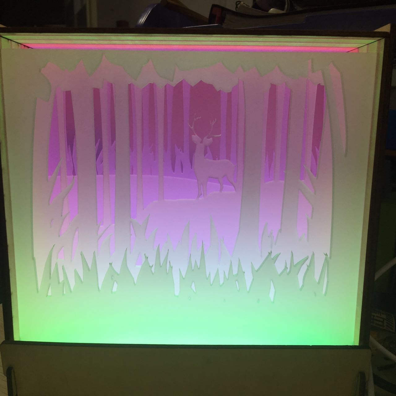 864964884433191719.jpg