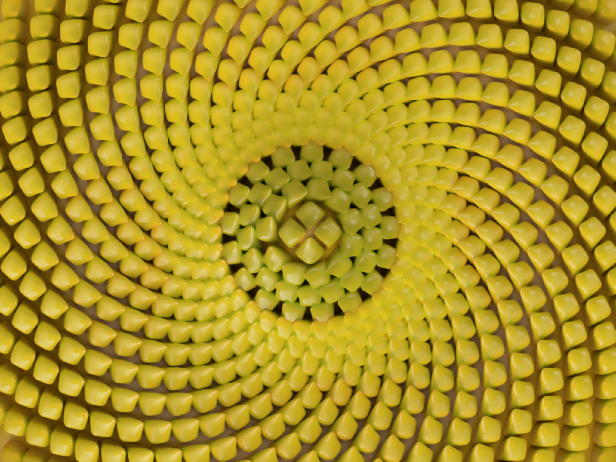 9.png
