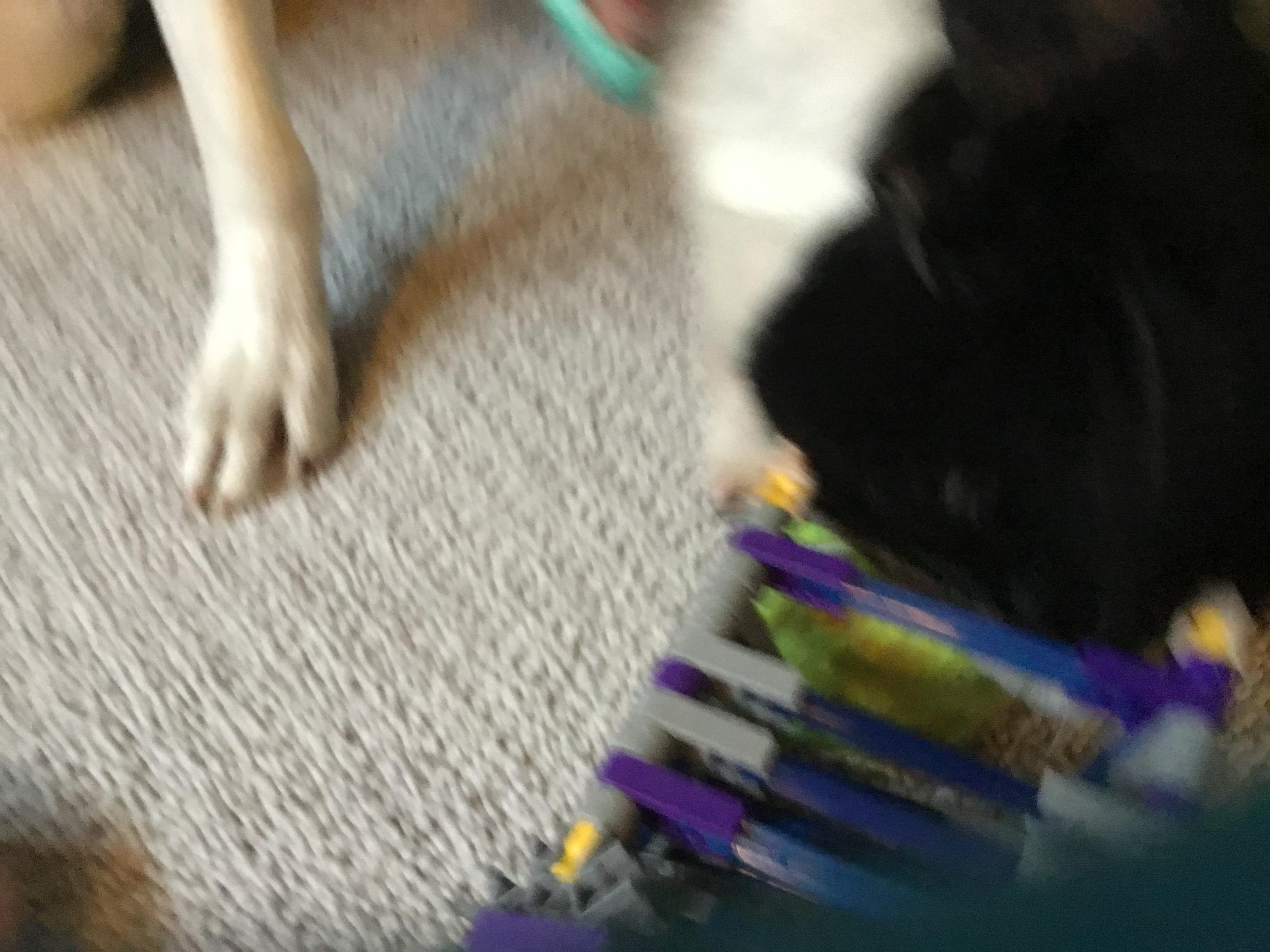 9578630E-8542-4537-9C72-647B8C929693.jpeg
