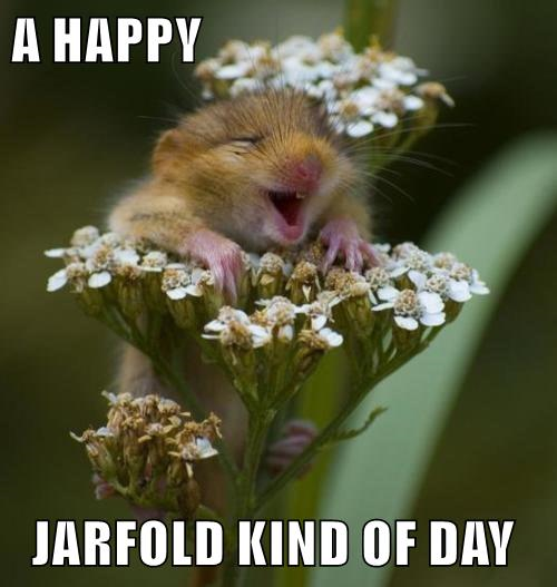 A HAPPY JARFOLD KIND OF DAY.png