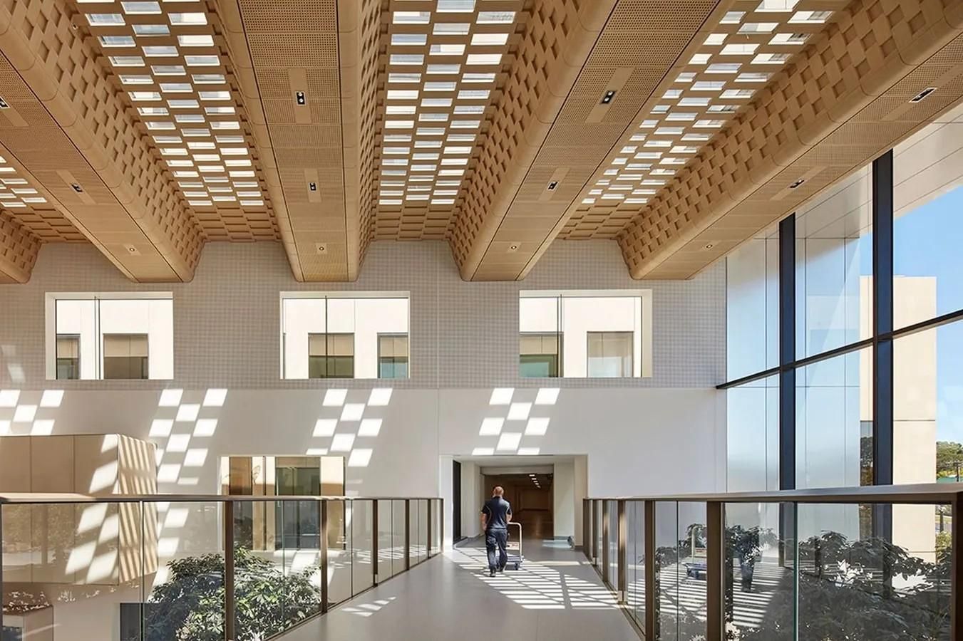 A2449-10-Benefits-of-natural-light-in-architecture-IMAGE-13.jpeg