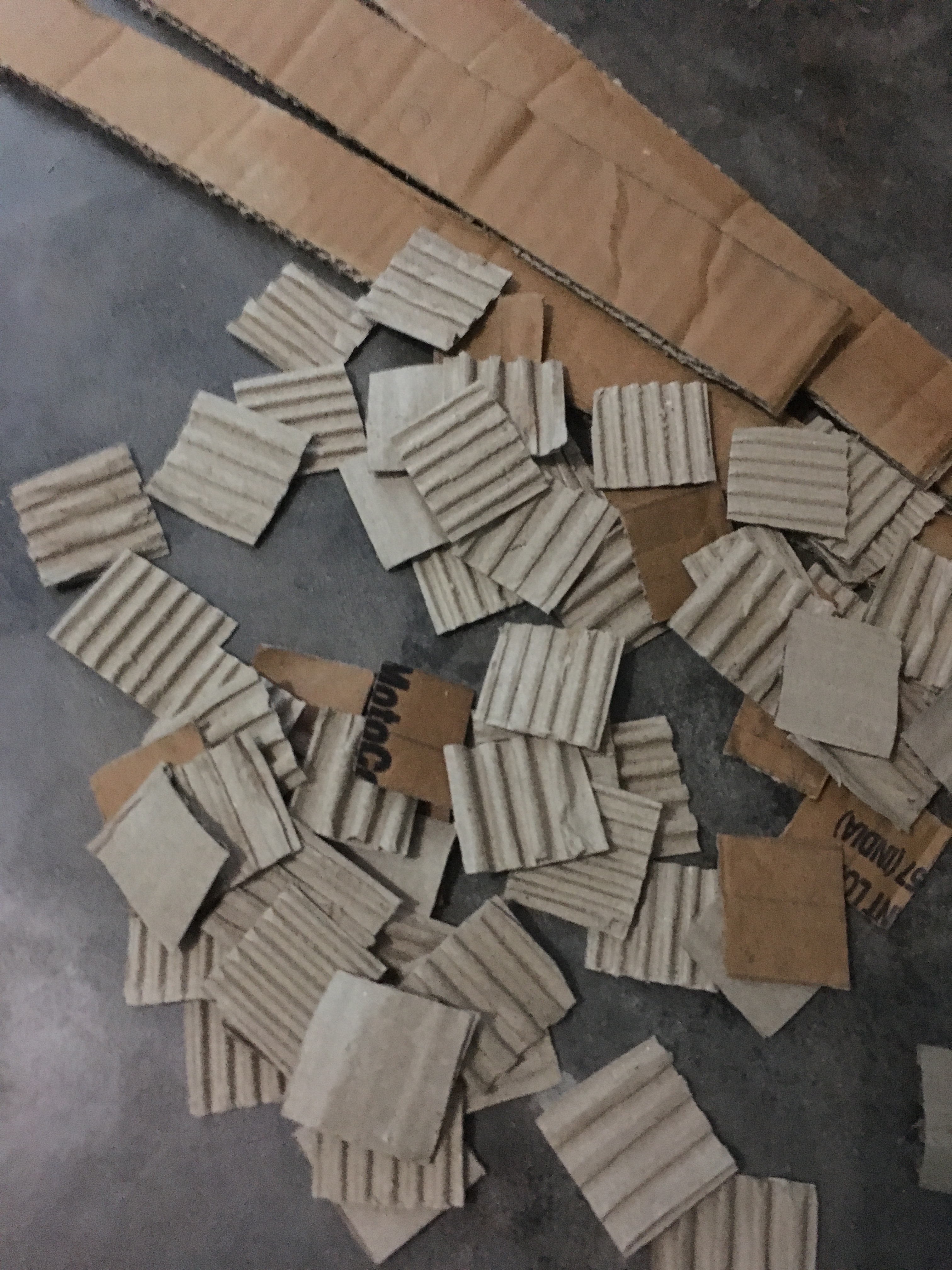 AA2F20FD-E80E-43B9-8AB0-6D2CF10D7593.jpeg