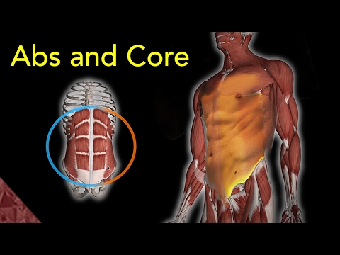 Abs and Core workout at home. For athletes (Specially swimmers)